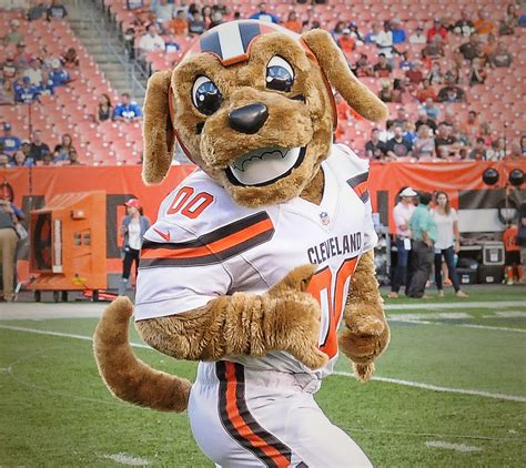 The Secret Lives of NFL Mascots: Unmasking Chomps from the Cleveland Browns